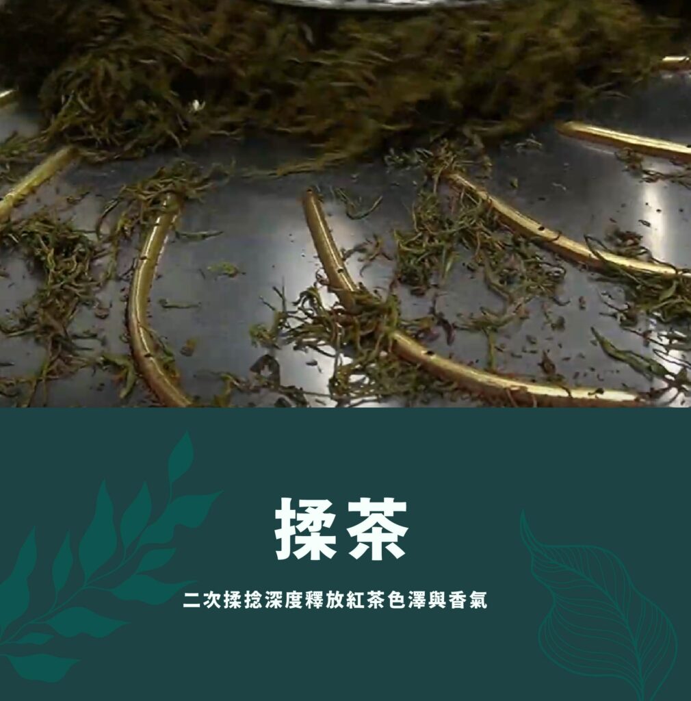 揉茶